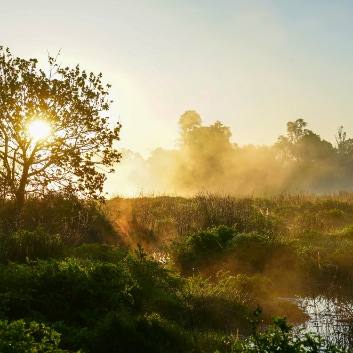 listen to While We Were There